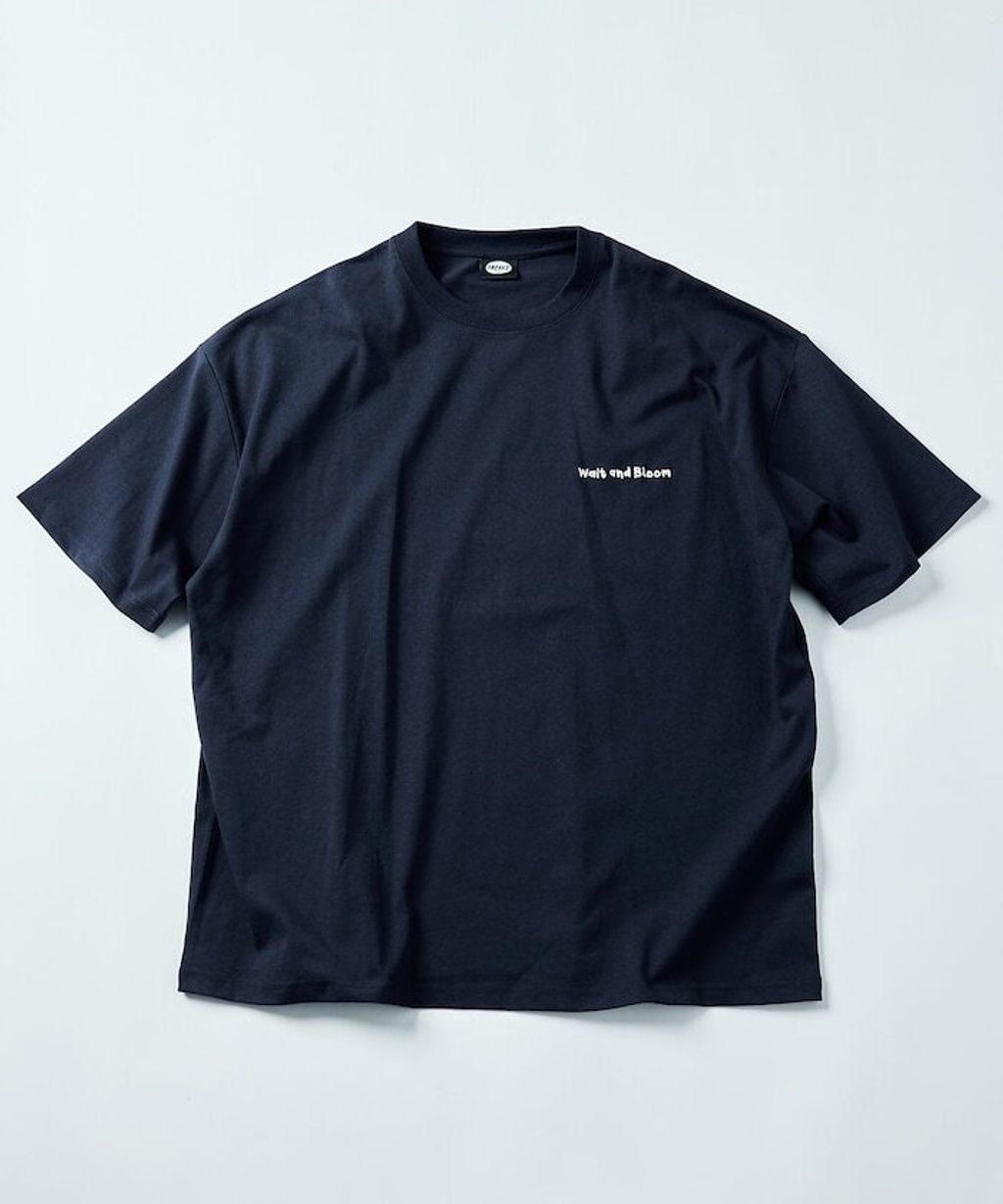 item67f6080a0ff5f