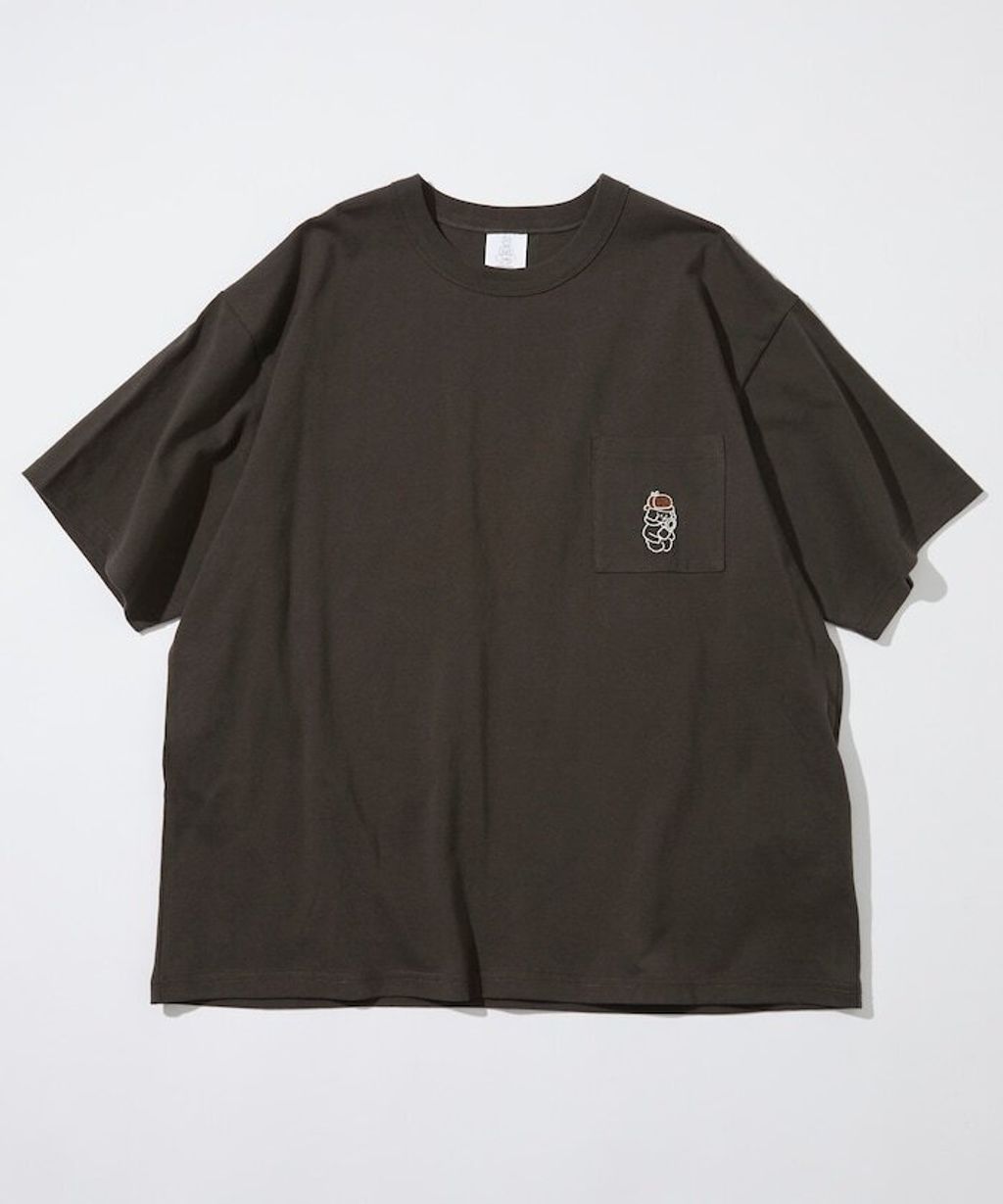 item67ff589517cbd