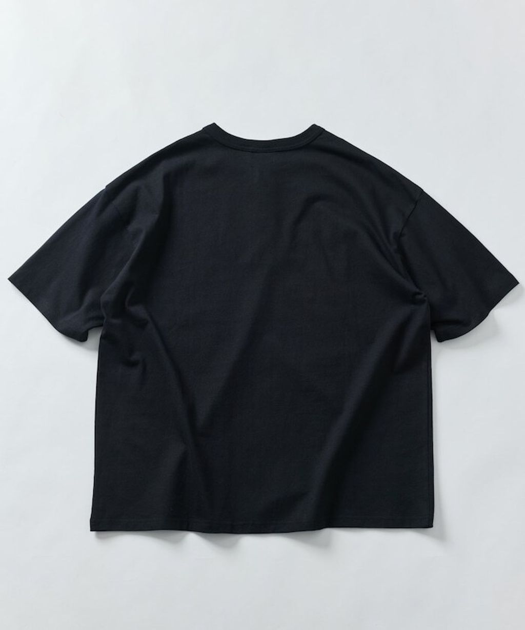 item679c5f63d868a