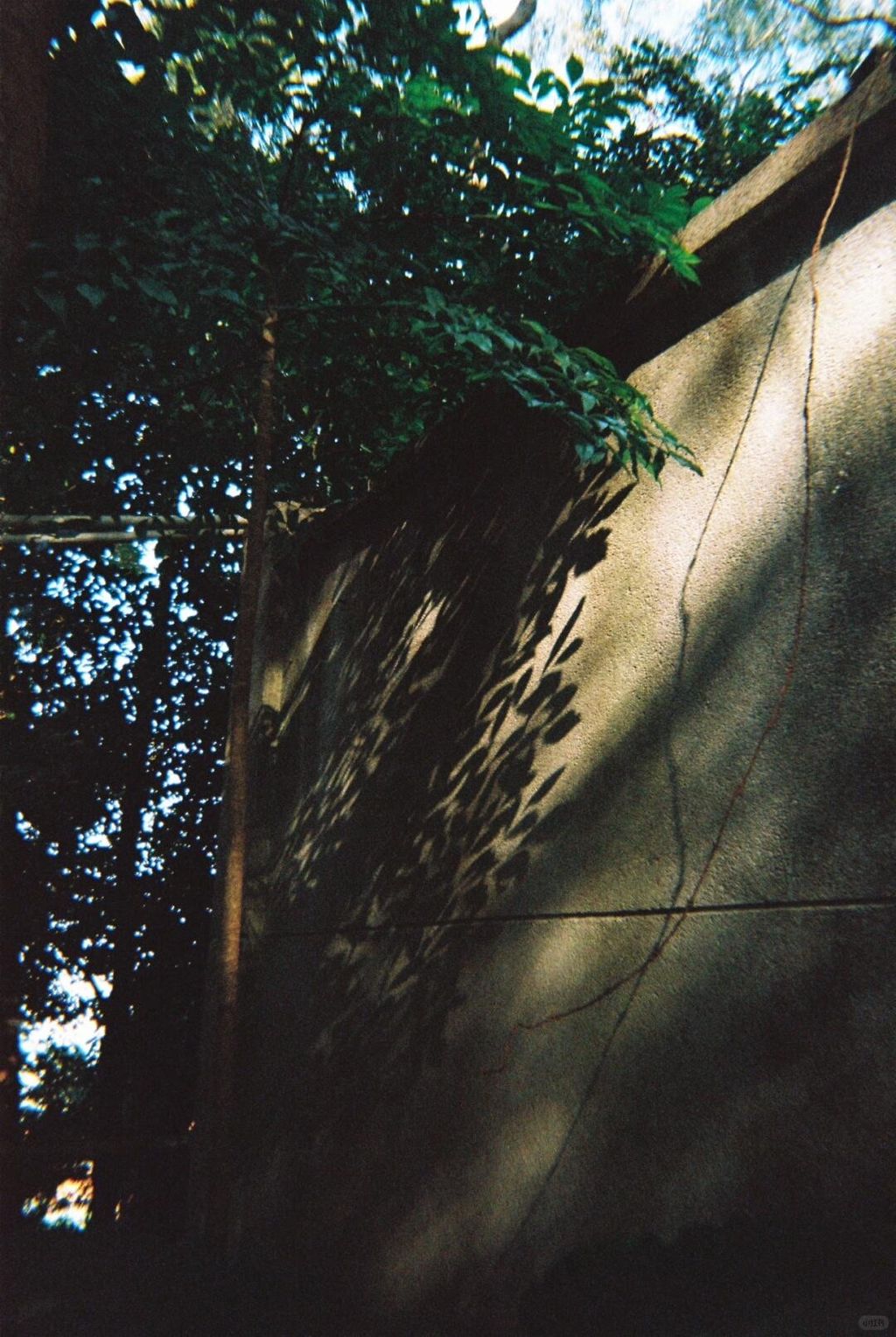xzg_520920