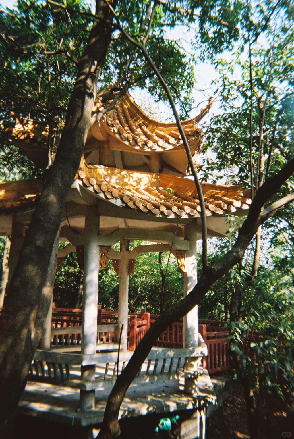 xzg_278392