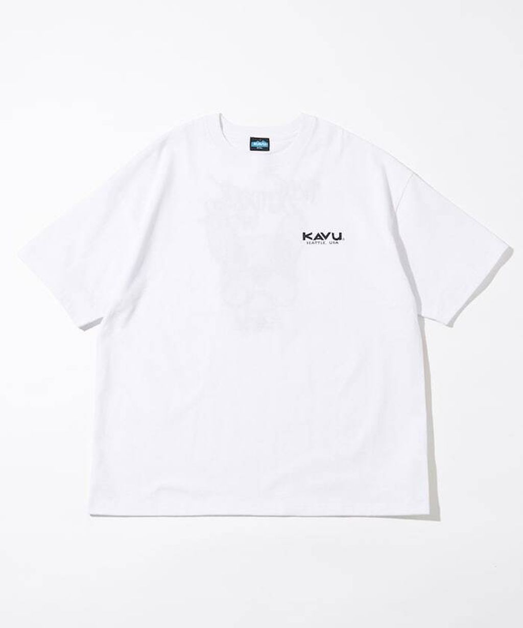 item67ae9647518cc