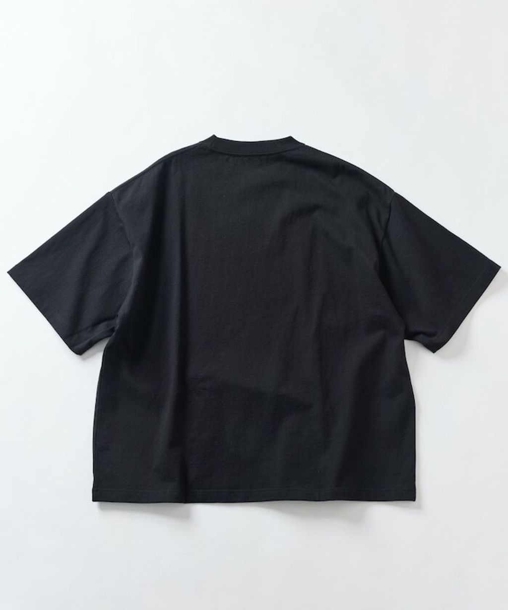 item679c928218501