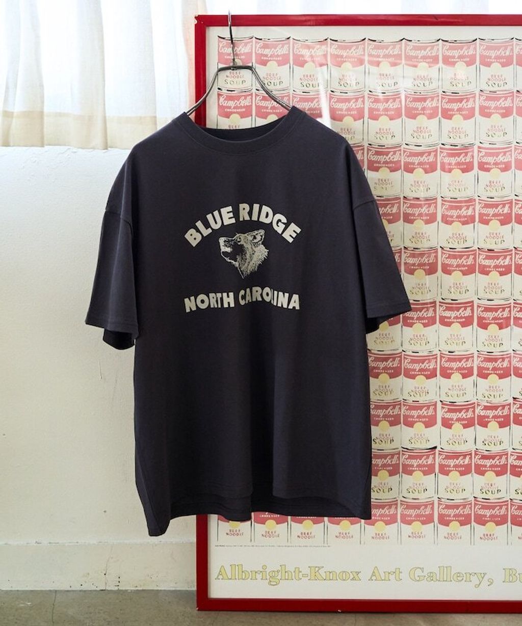 item67eb53bc44028
