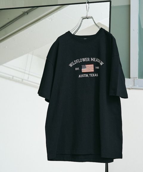 item67f37d0db6665