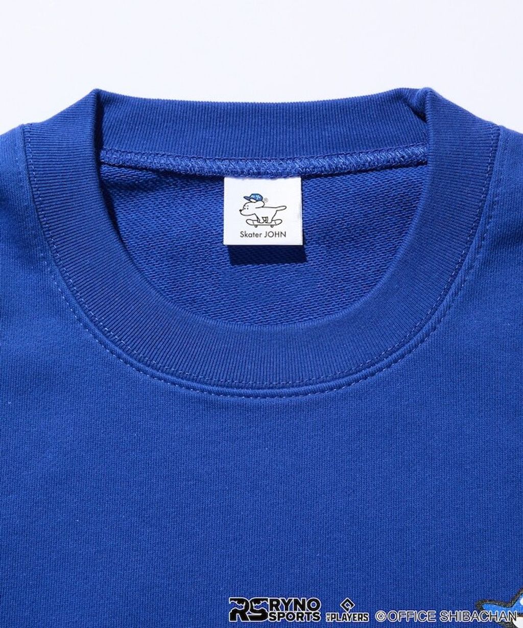 item68ca6e0295b4c