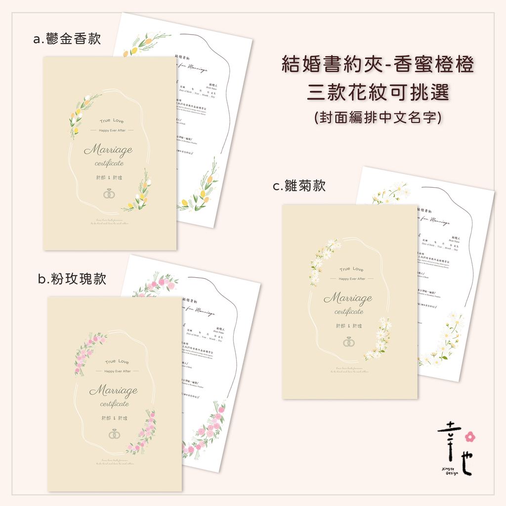 2-中文-三款綜合版