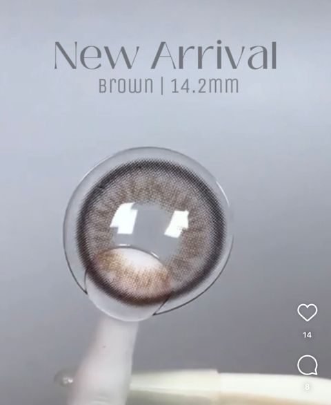 IMG_9693-1731864404498