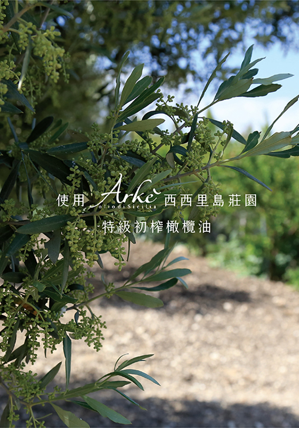 蒜0