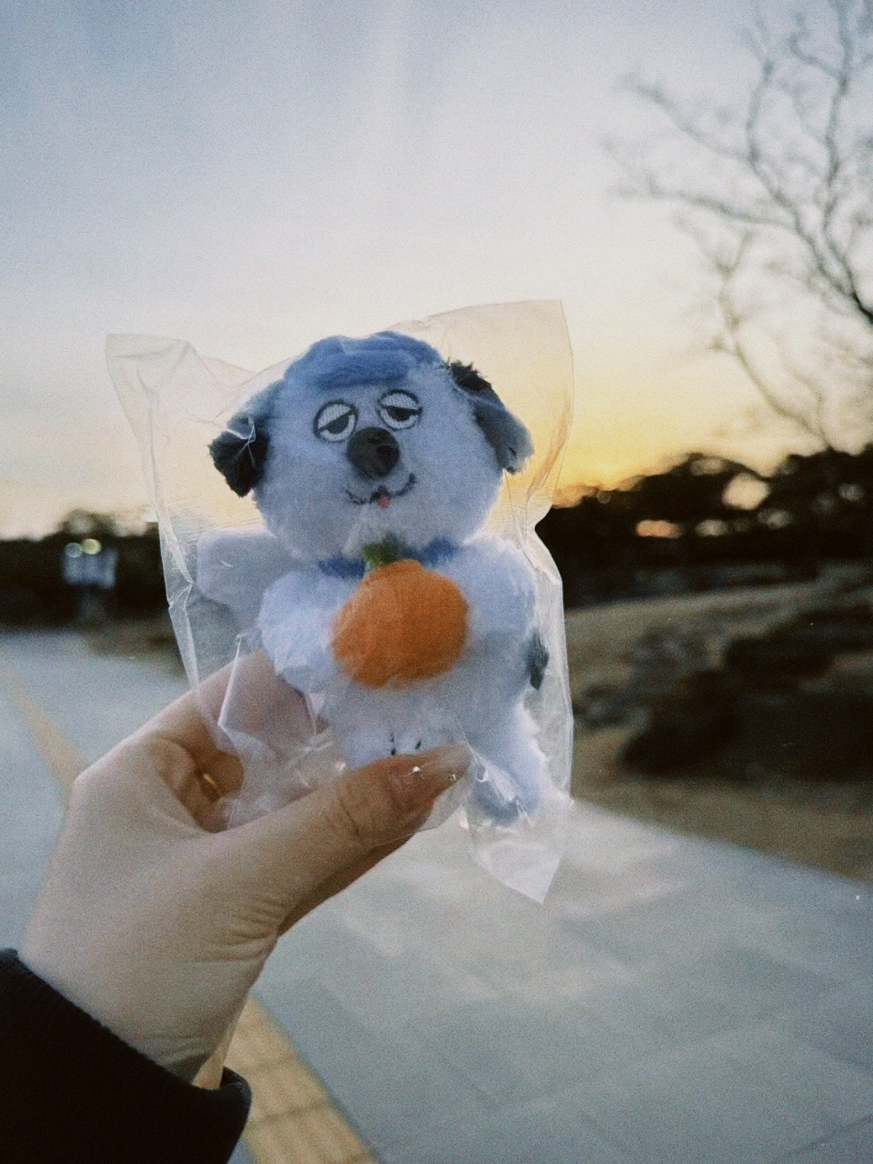 classicu 2026-03-04 17173702F851A067B4