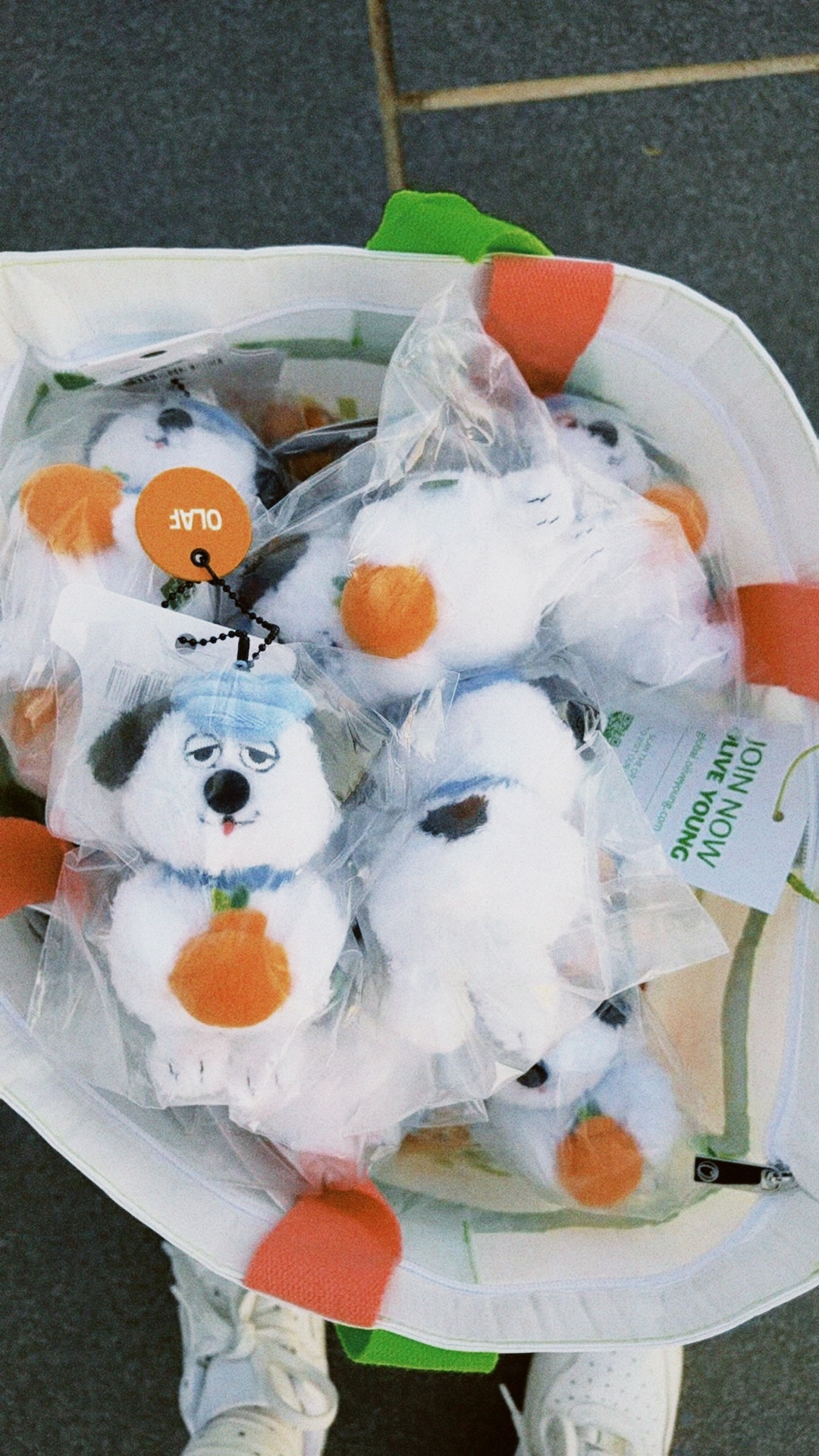 classicu 2026-03-04 1717371CF6A42A80F3