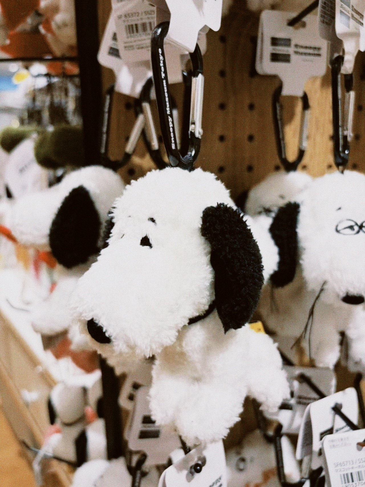 classicu 2026-03-08 181025A3CD3A2BE3CD