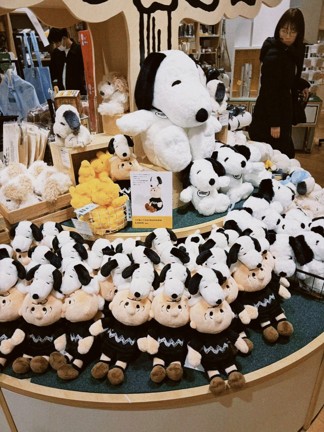 classicu 2026-03-08 181026D990C4E7B623