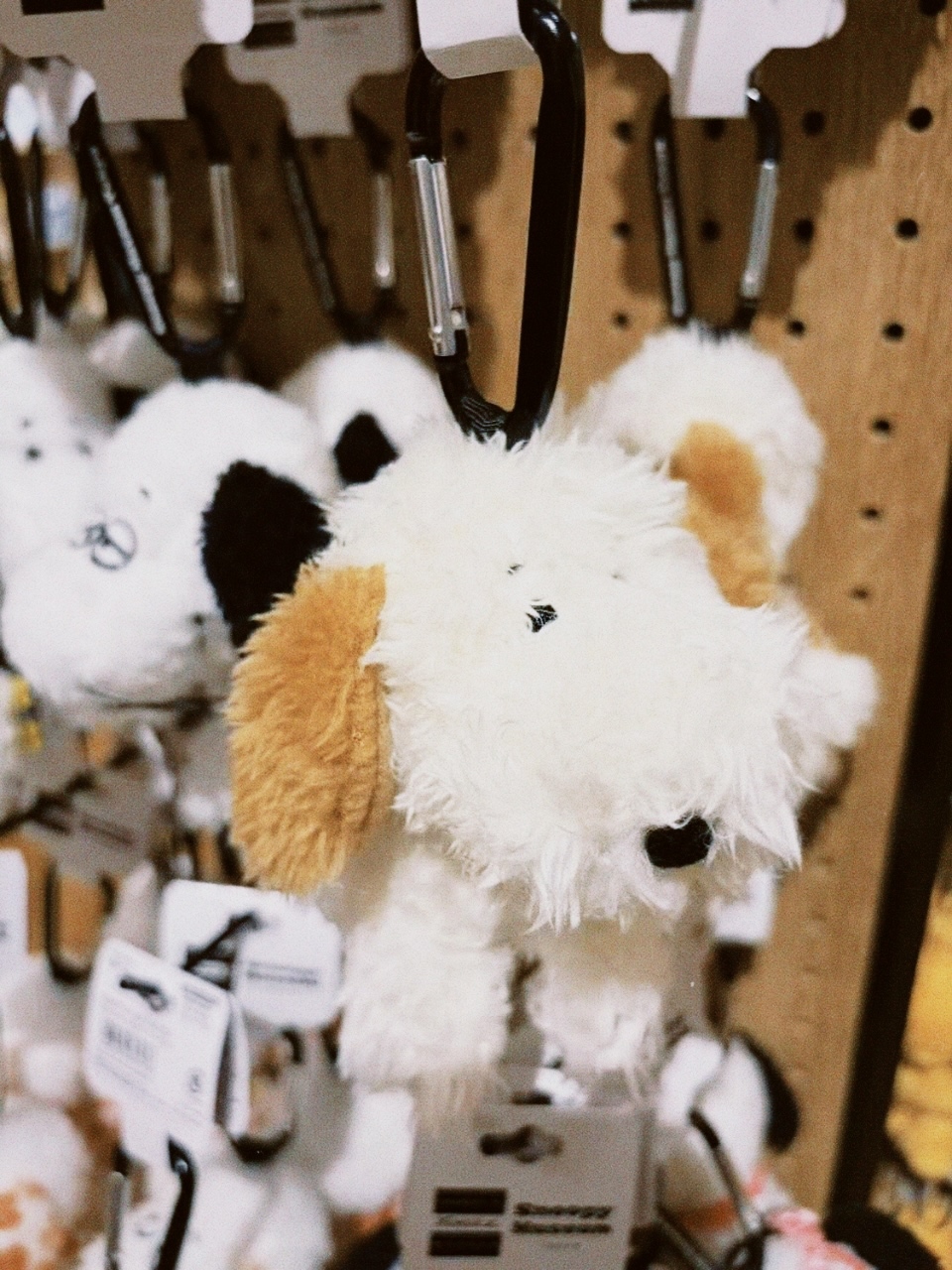 classicu 2026-03-08 181023FF61811A8E19