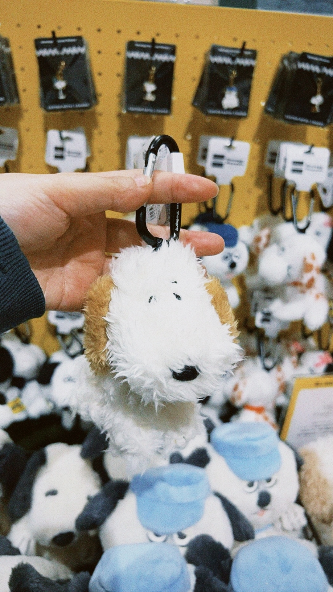 classicu 2026-03-08 18100096E02A553858