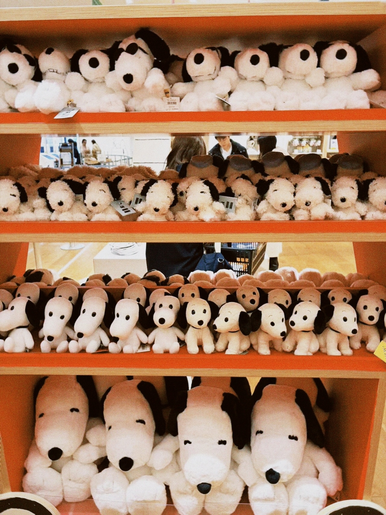 classicu 2026-03-08 180959058D361D743C