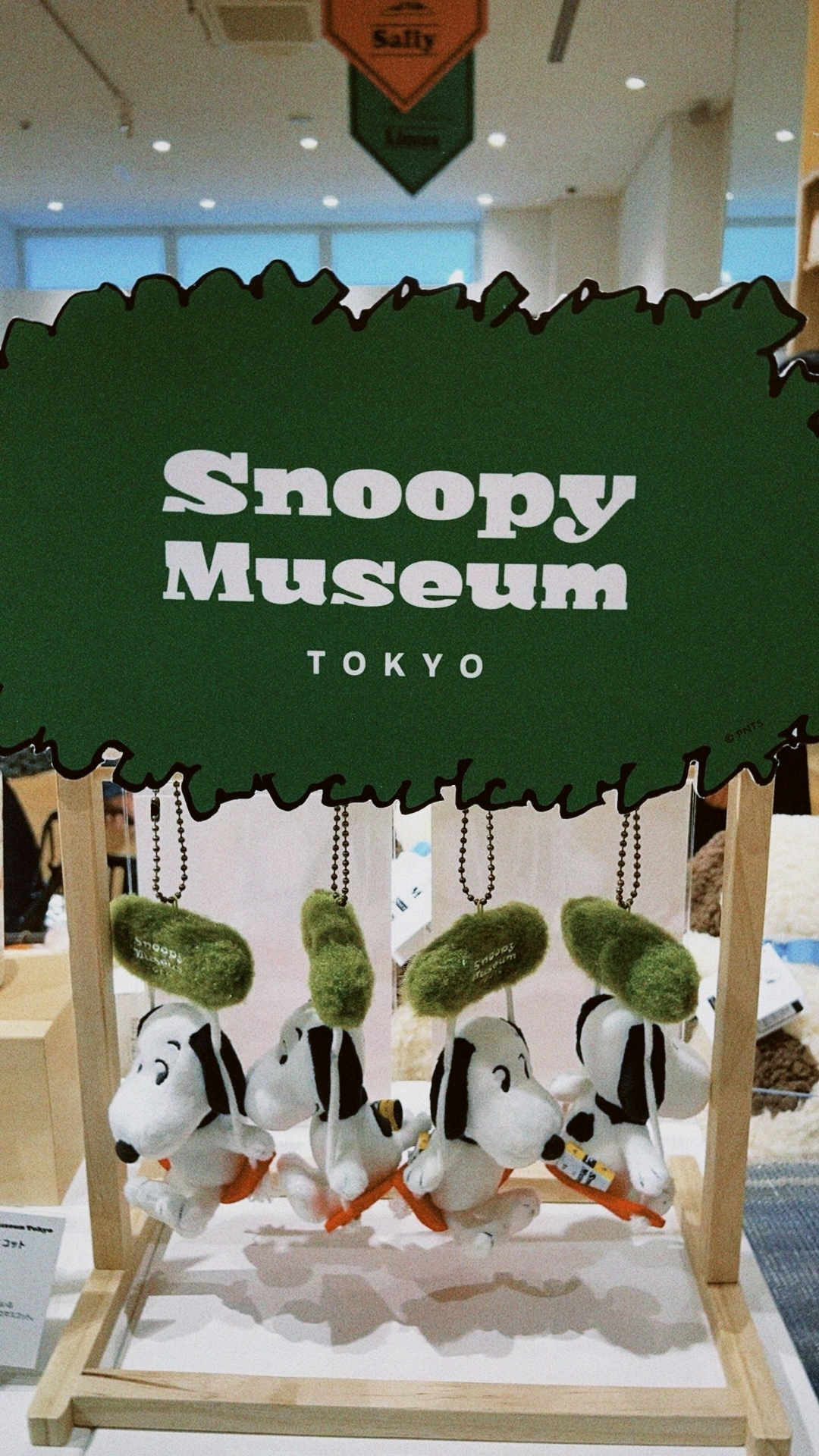 classicu 2026-03-08 18095883C3965CF643