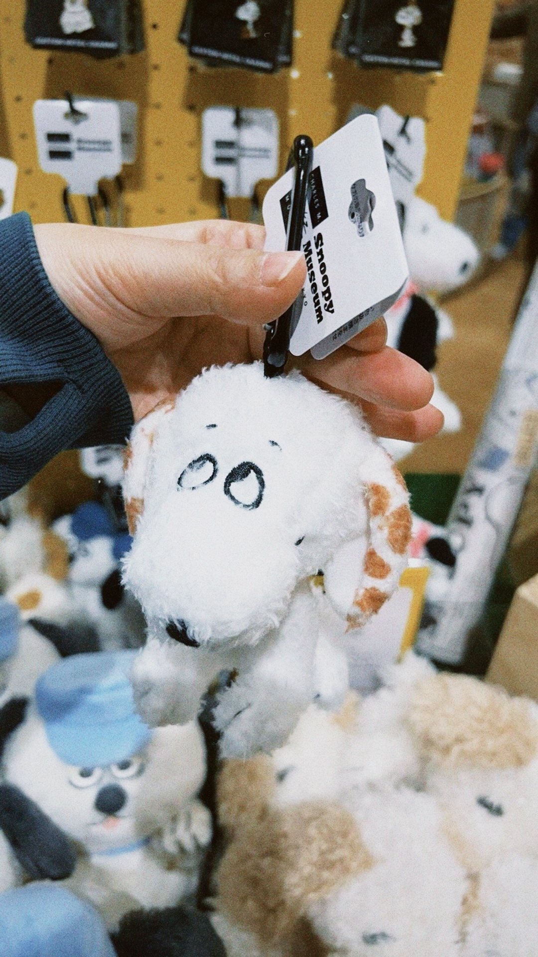 classicu 2026-03-08 180957B33DD0F7E398