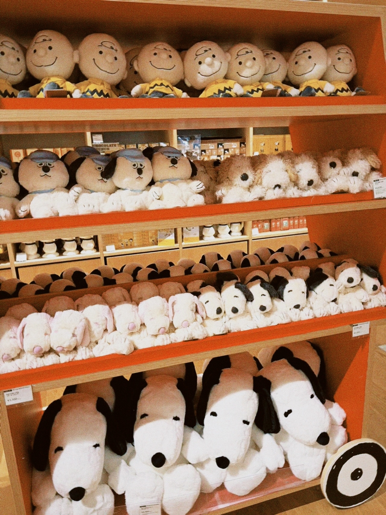 classicu 2026-03-08 180958A01A465AEEE9