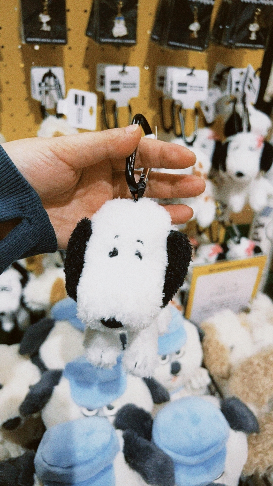 classicu 2026-03-08 1809584B33FC078718