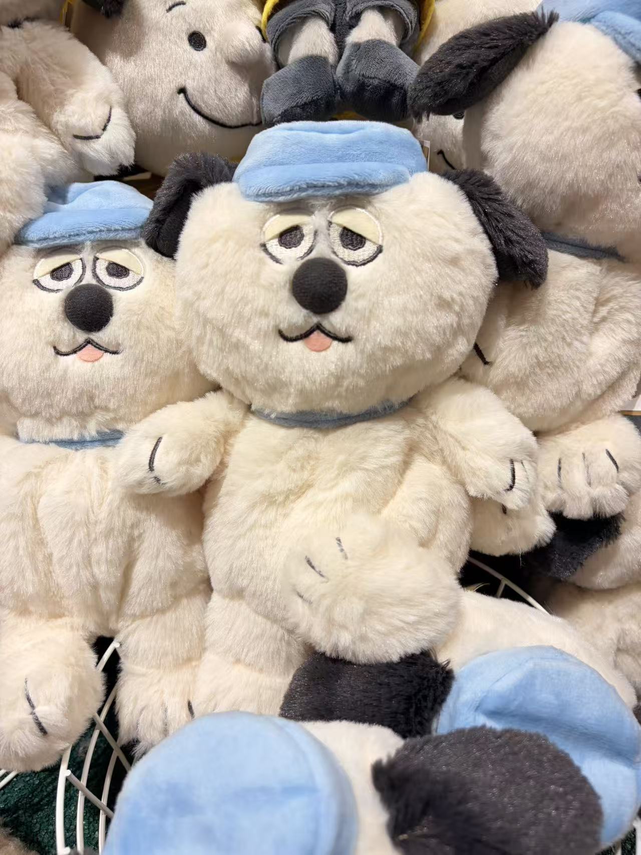 8019816df34dd73a981c8aa7422961ae