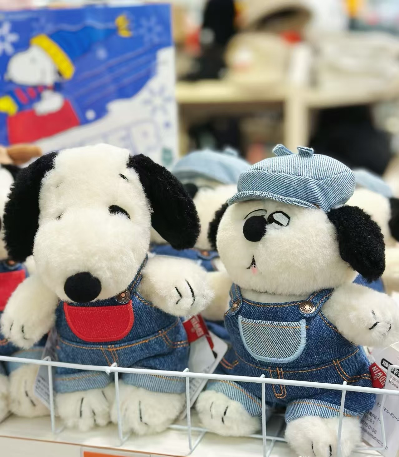 edfe39e13cbd05608c1c925d80be4bab