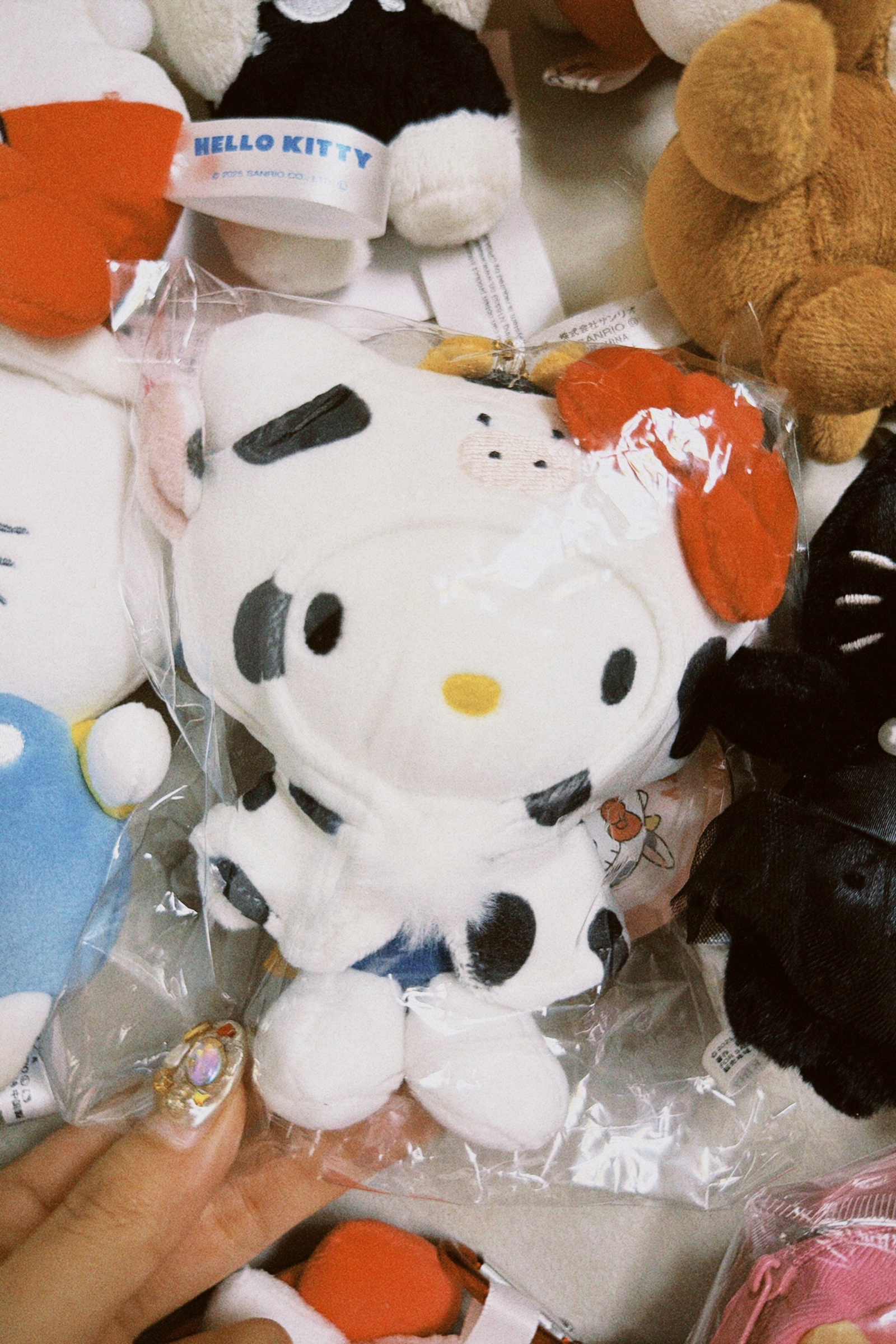 classicu 2026-03-13 1821338EF982A76EE6