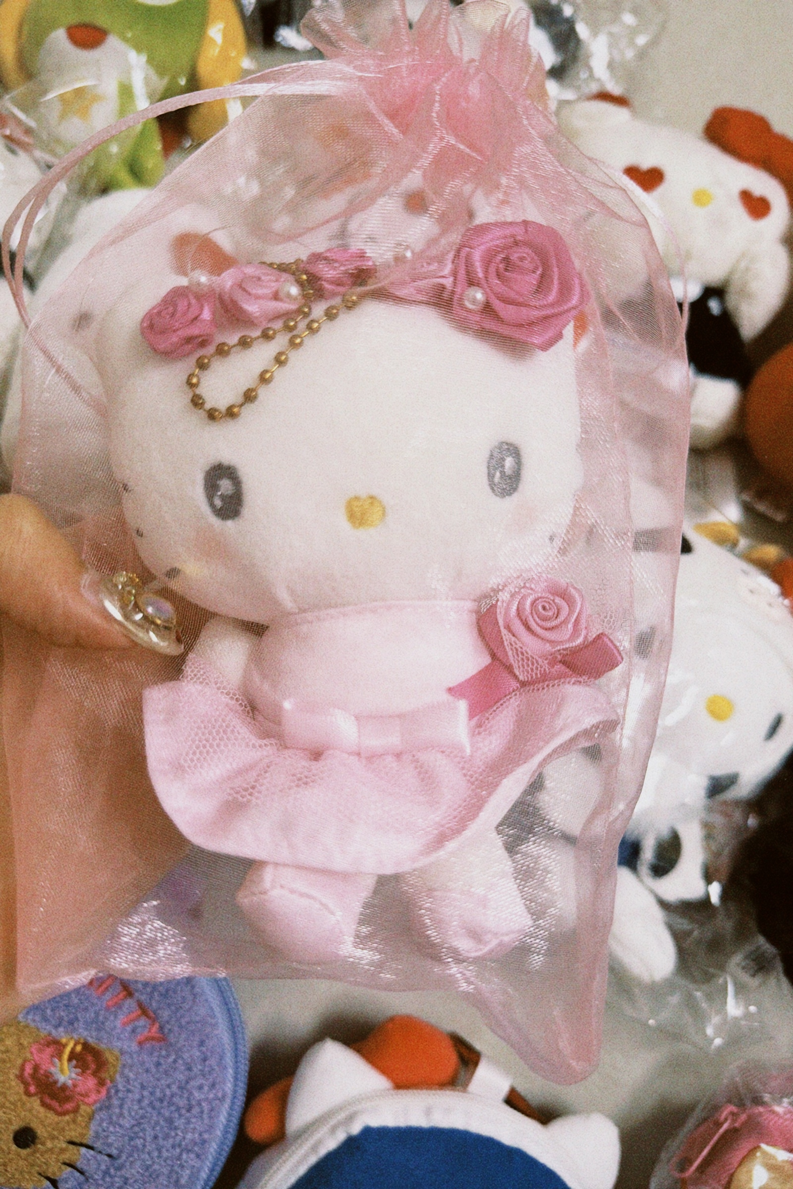 classicu 2026-03-13 18215249421C91103C