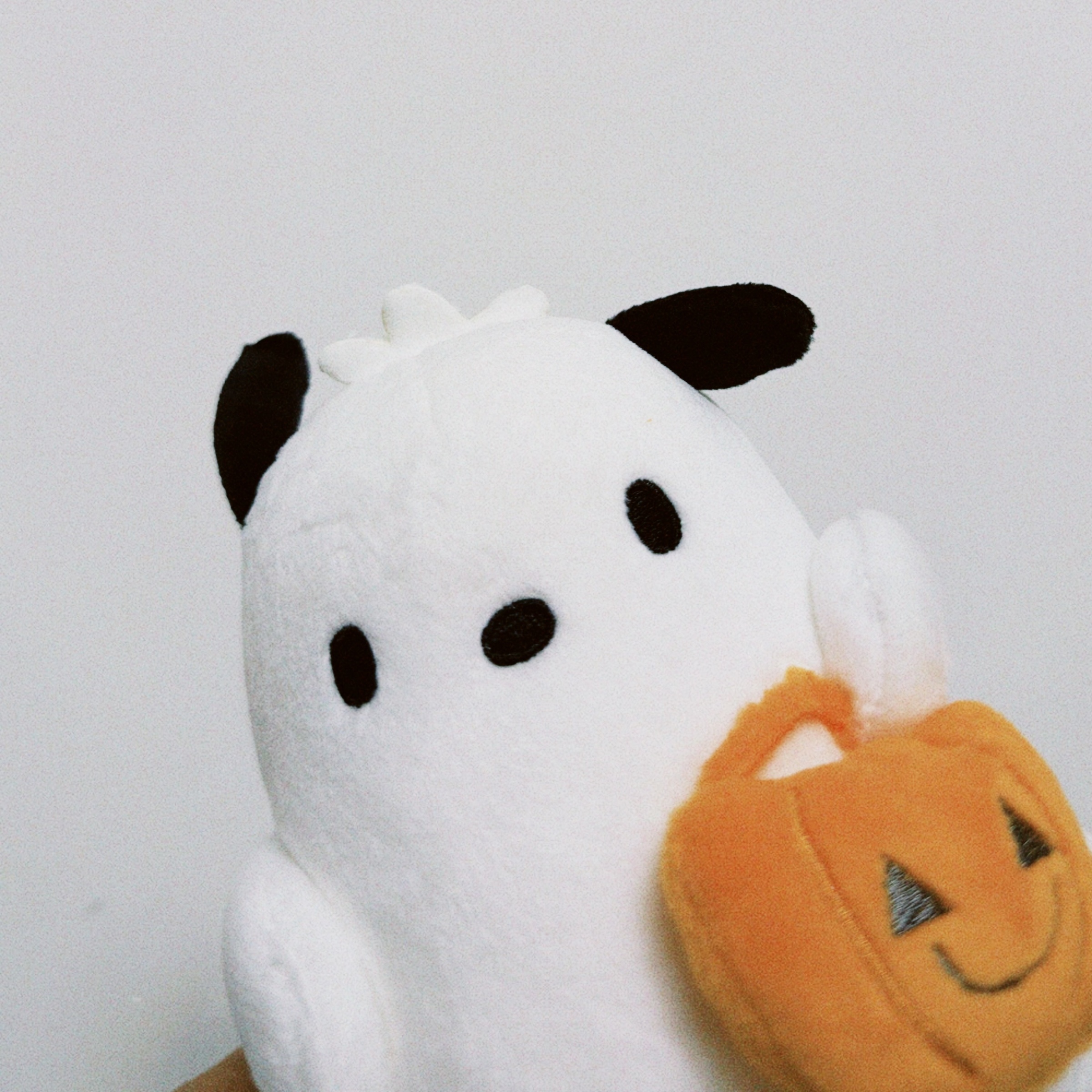 classicu 2026-03-14 2203495878048D5AA5