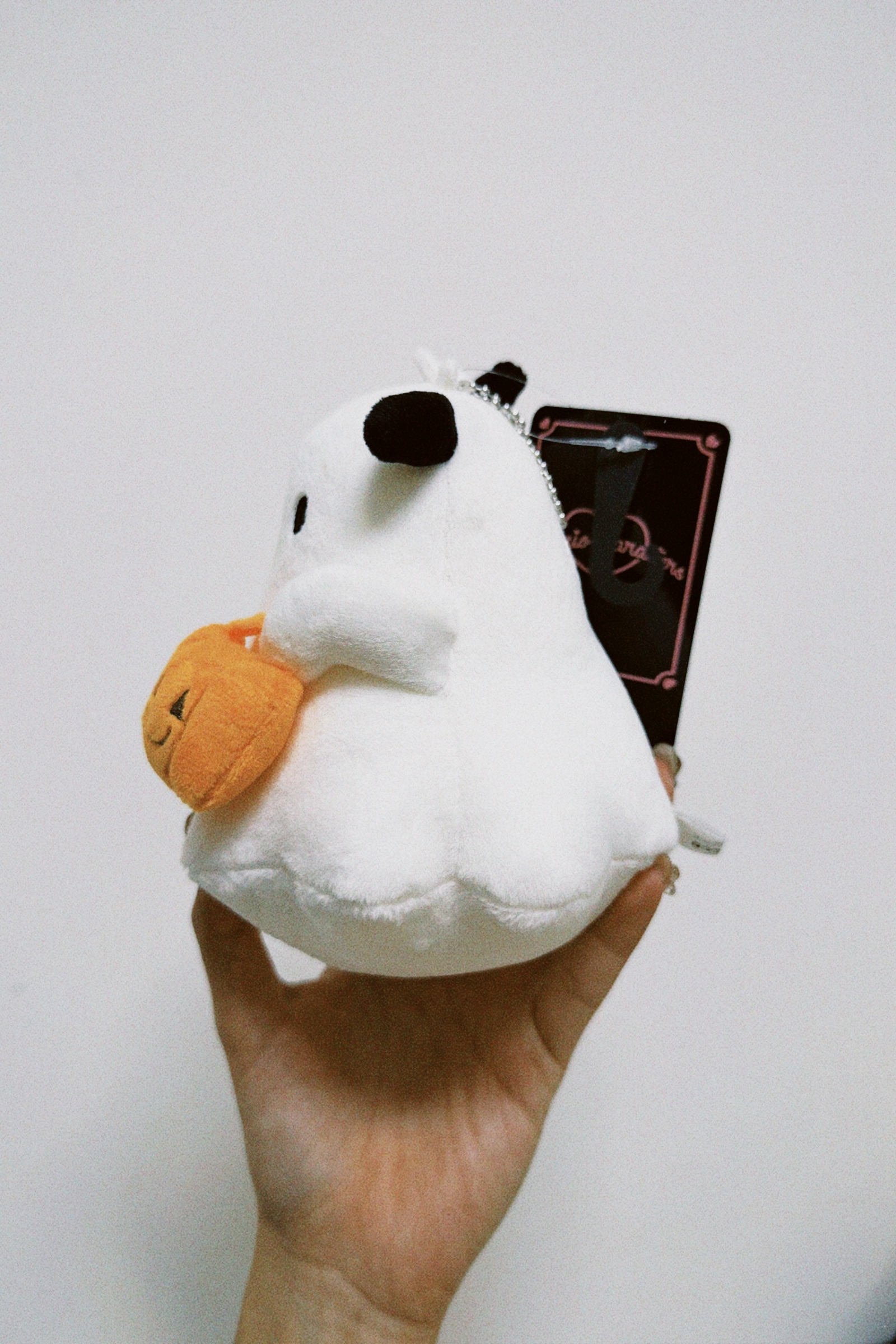 classicu 2026-03-14 2203211173AFA7027D