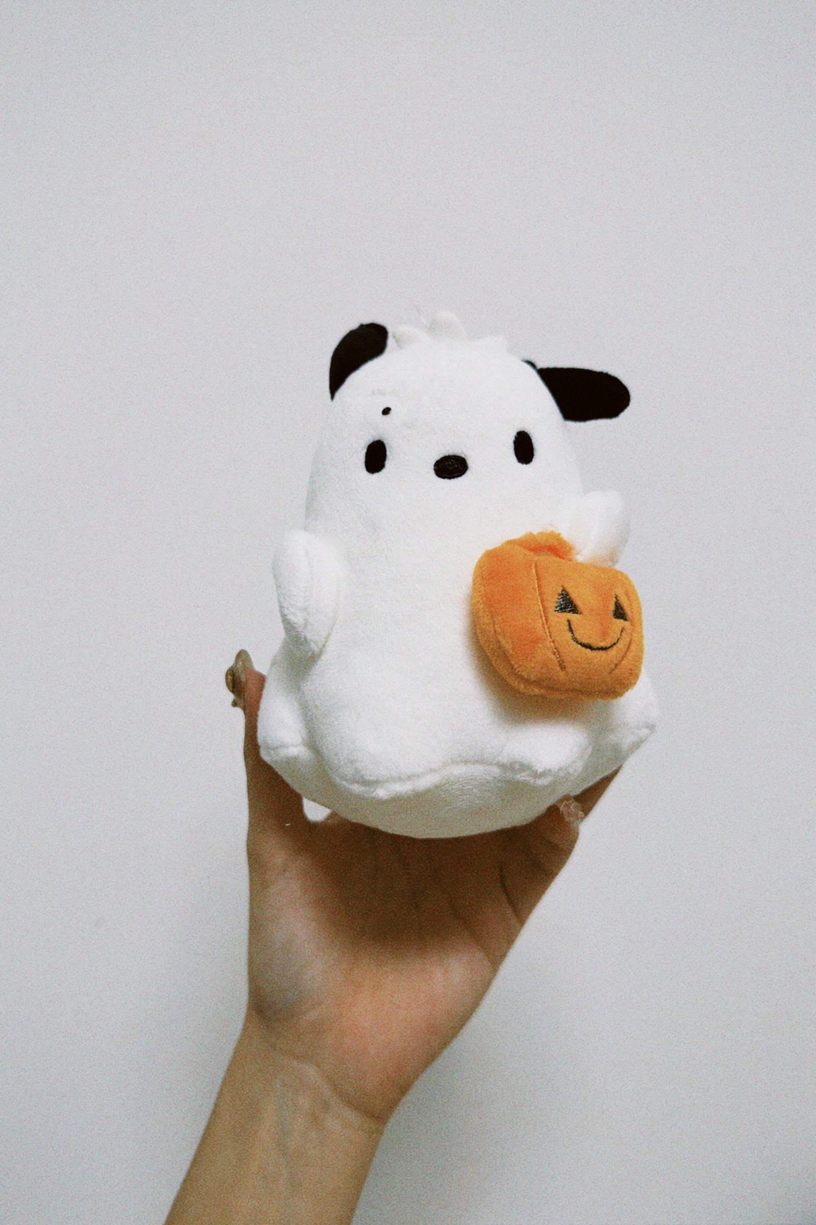 classicu 2026-03-14 22030896192FB11311