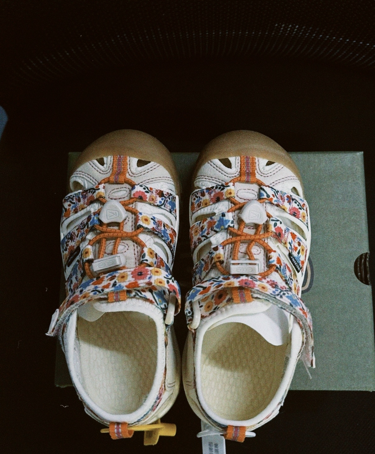 classicu 2026-03-15 13494636C39BD74CEB