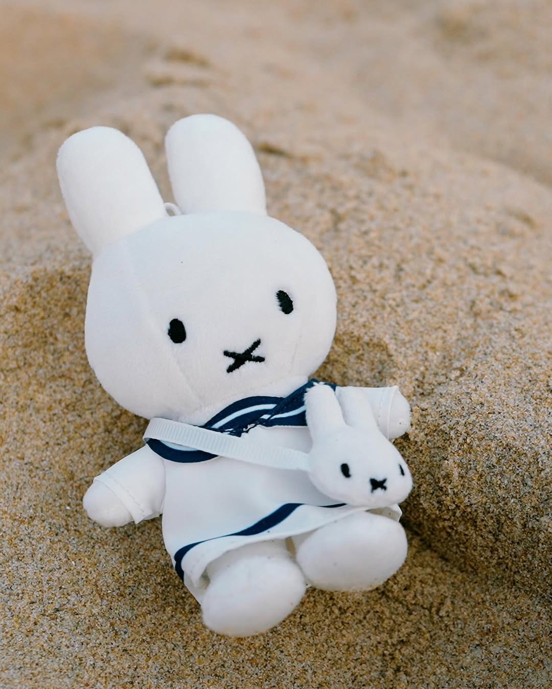 01c966bda6425cfc1b794fd10d1dfa4c