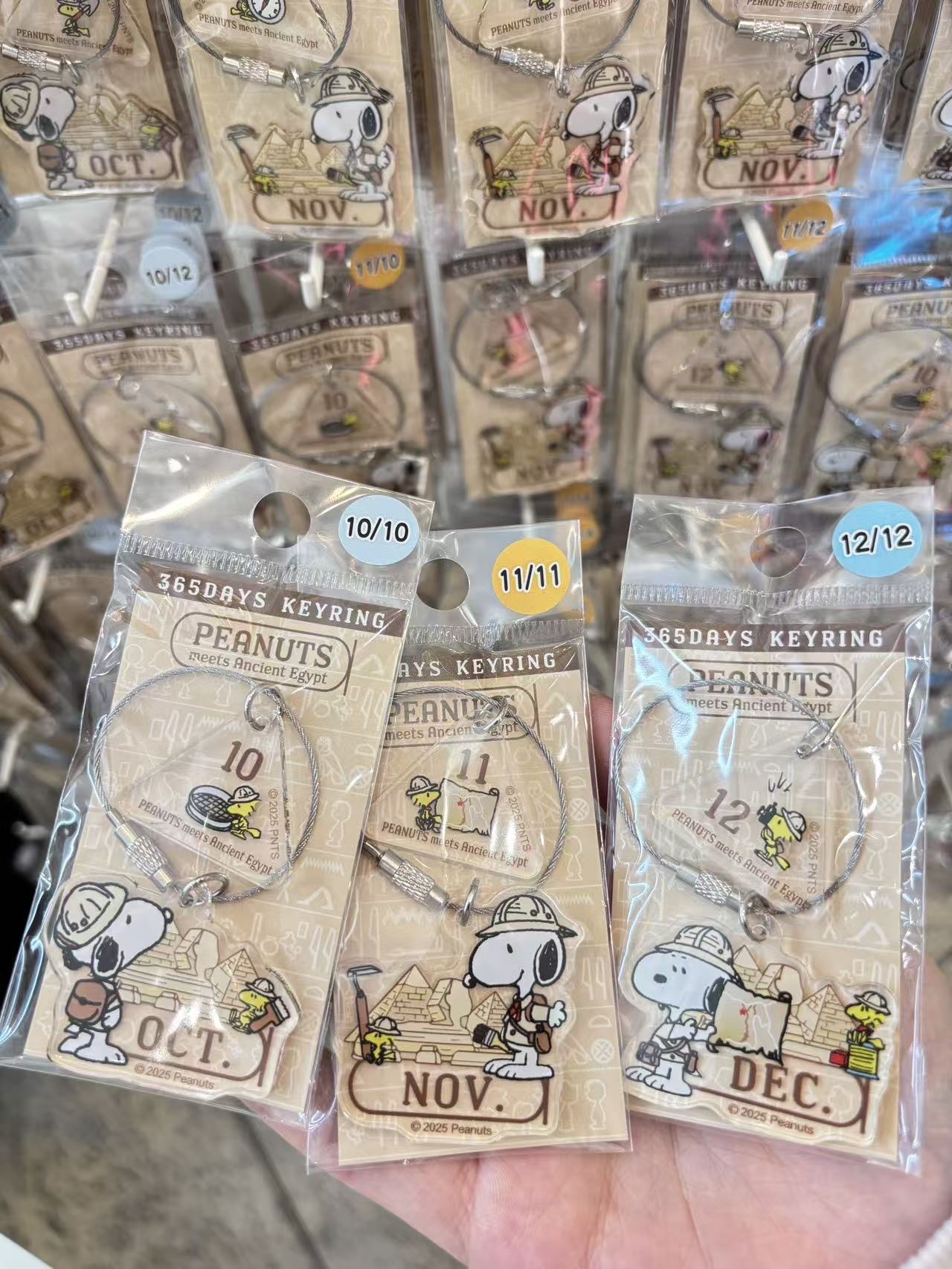 13ecd0e4e2f66ffc23b205fe13db212c