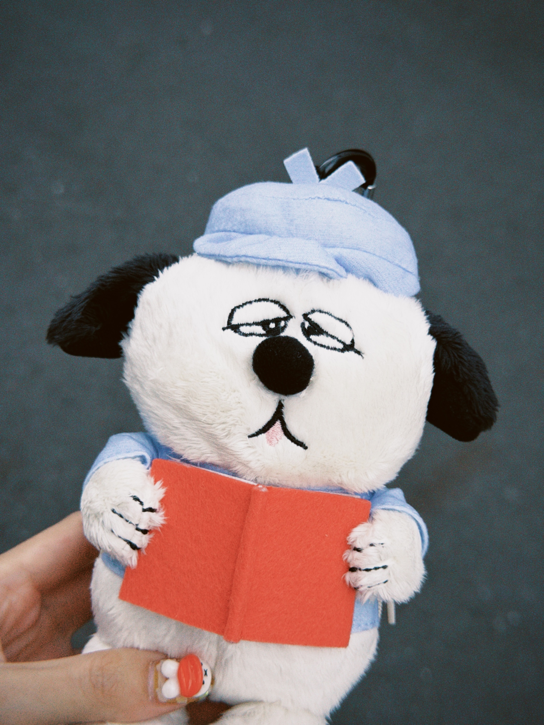 dfuns 2026-03-29 14054597562A8C2CBB