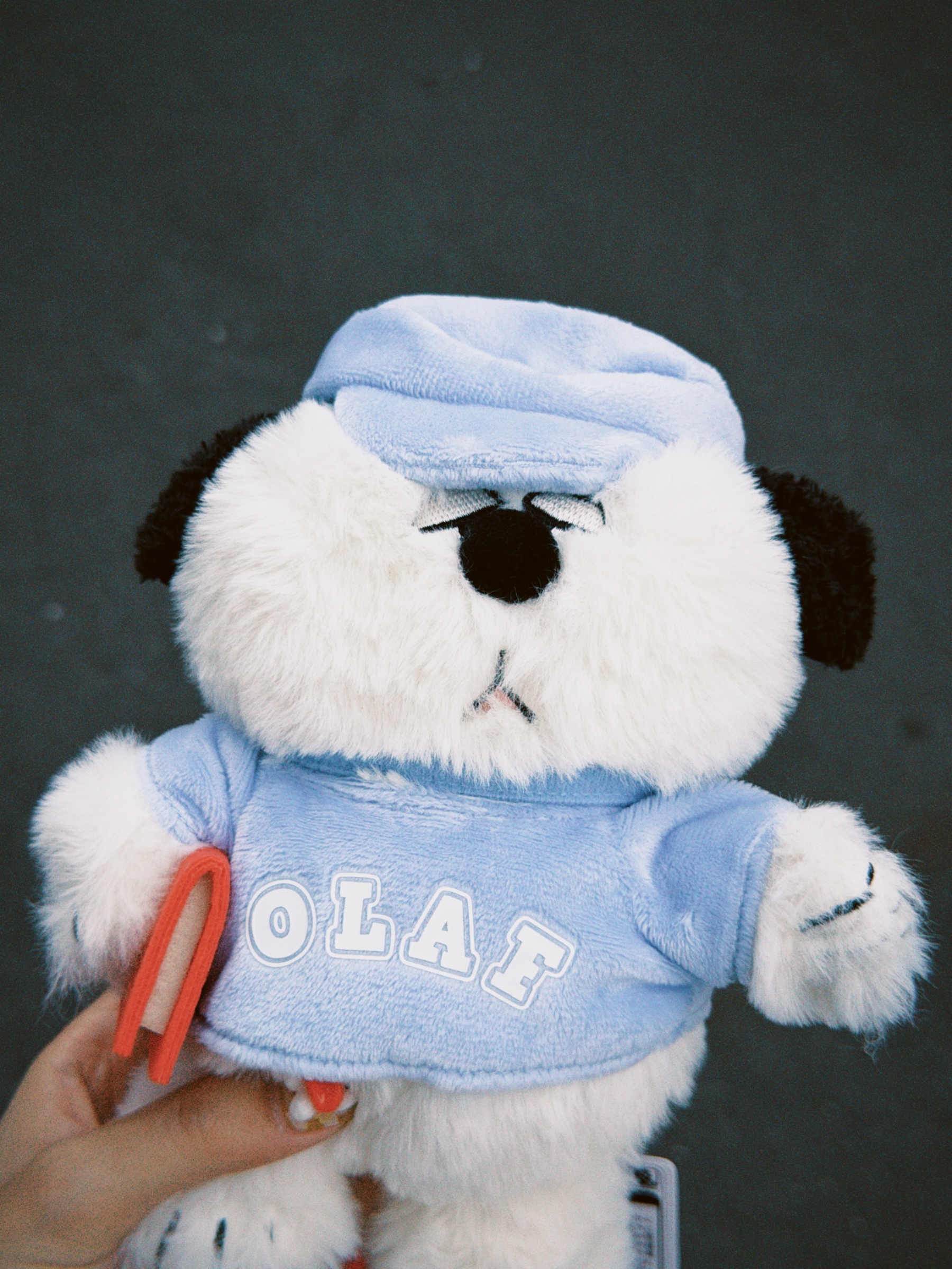 dfuns 2026-03-29 1405428DA42315658B