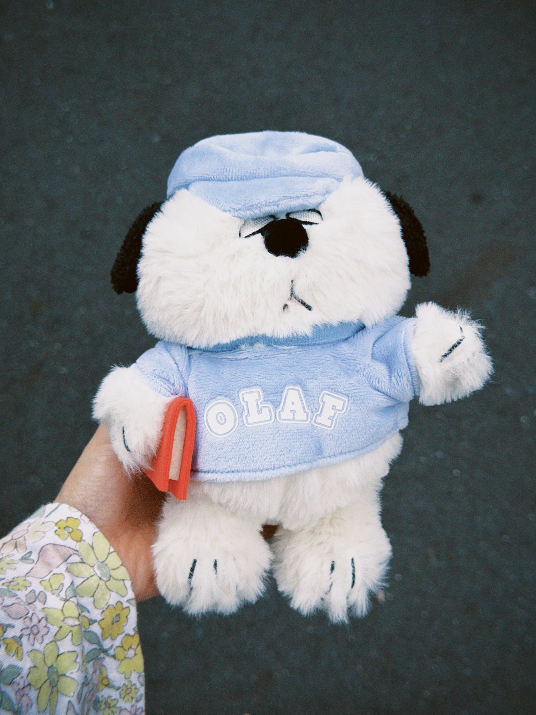 dfuns 2026-03-29 1405271C514181B2FD