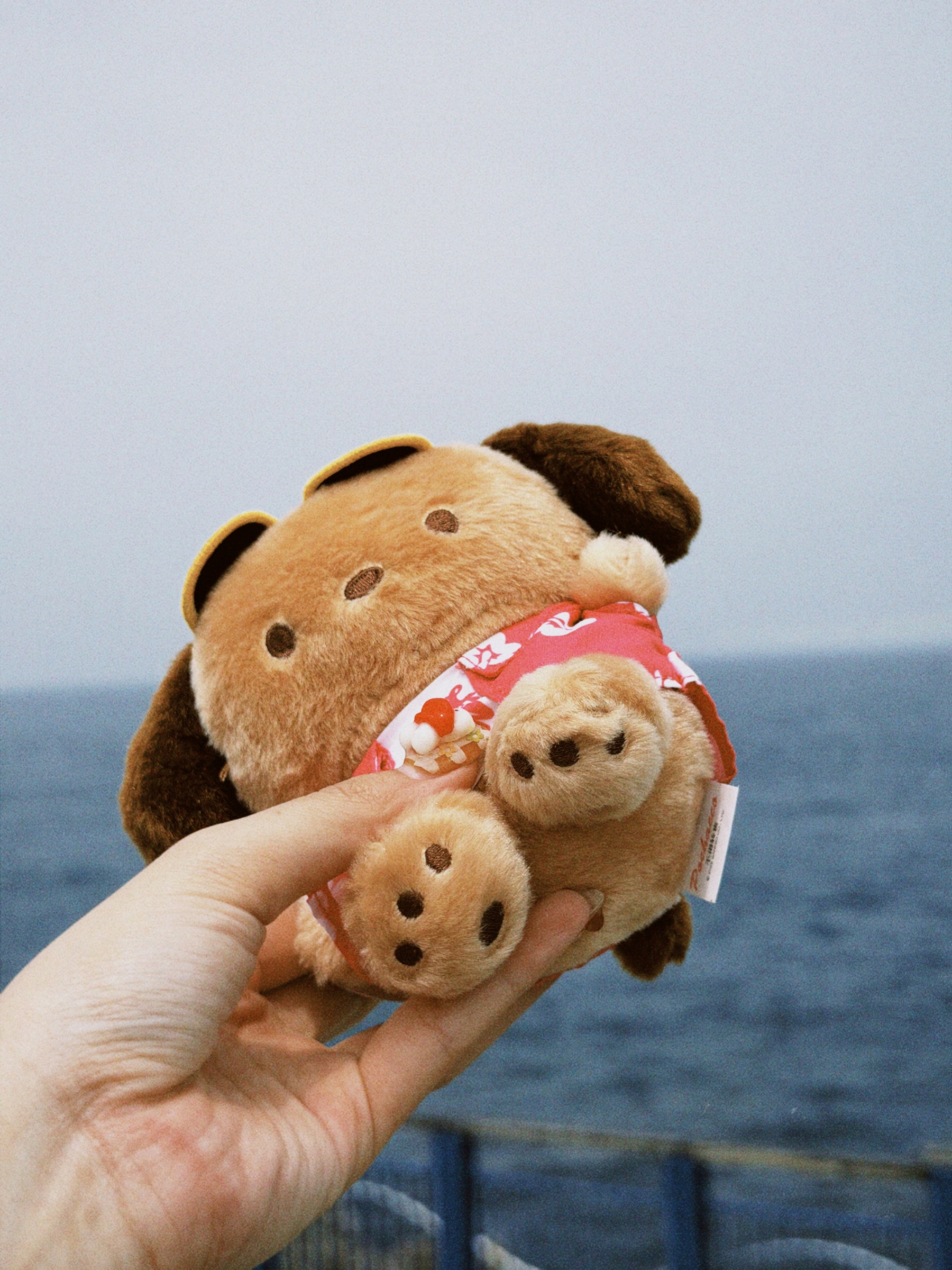 classicu 2026-04-10 164805642FBDAD1C31