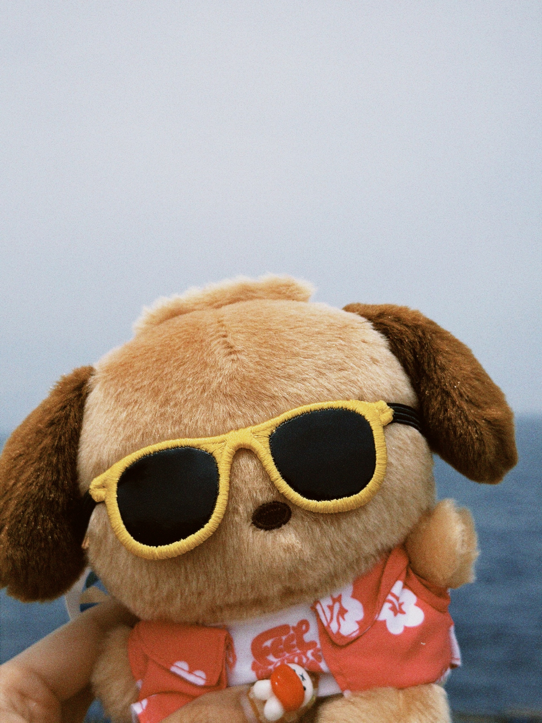 classicu 2026-04-10 16480473E703EBC609