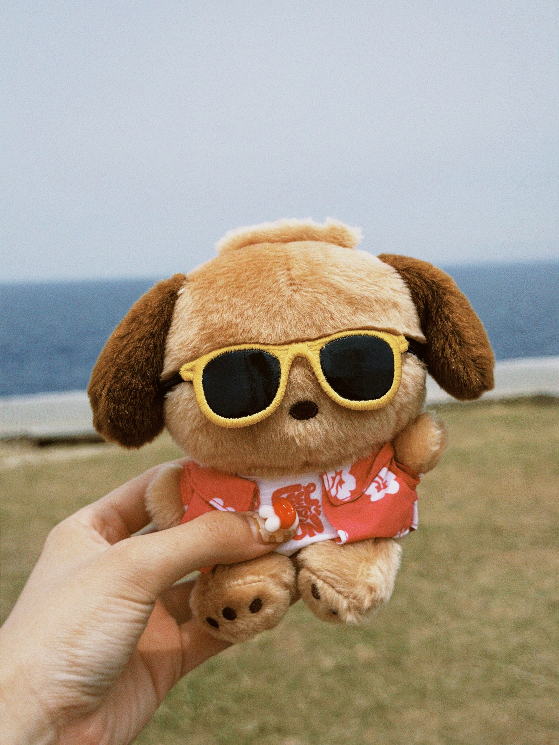 classicu 2026-04-10 1648166CEFC43D5A42