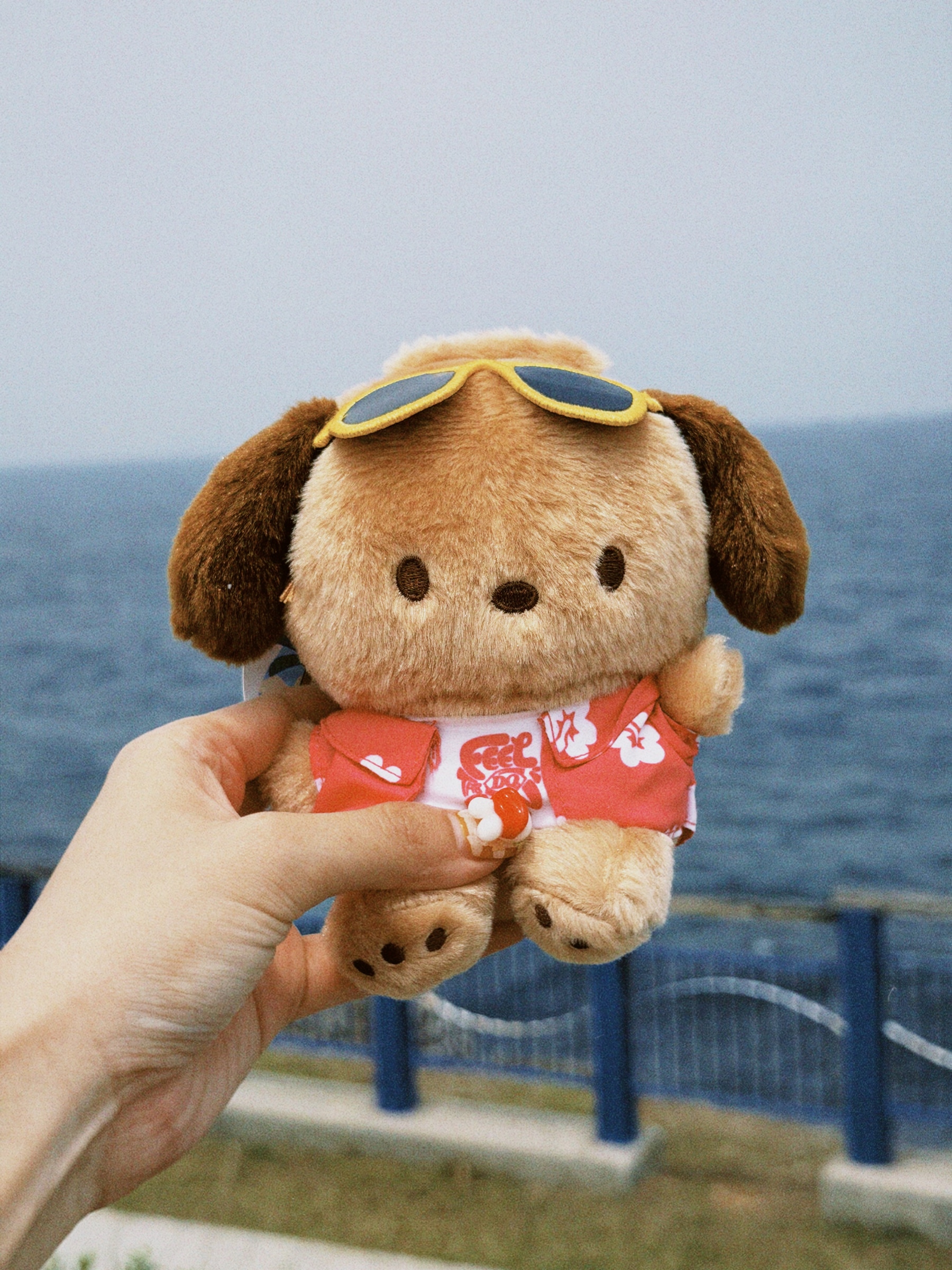 classicu 2026-04-10 1648065647D8FAA72C