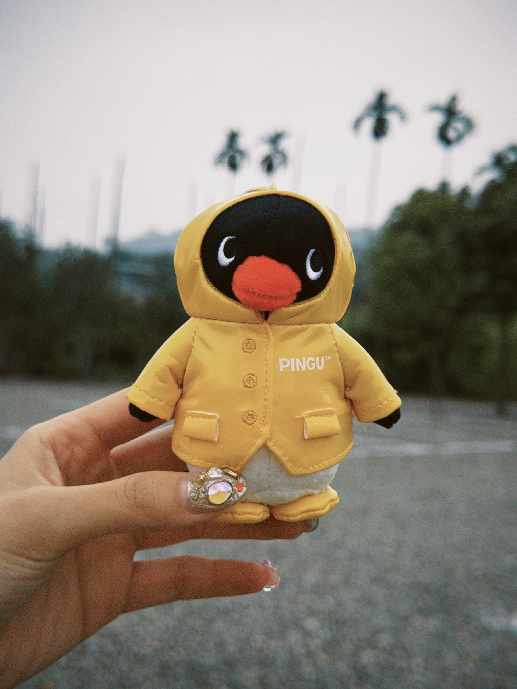 dfuns 2026-03-13 2001133554BF0931D4