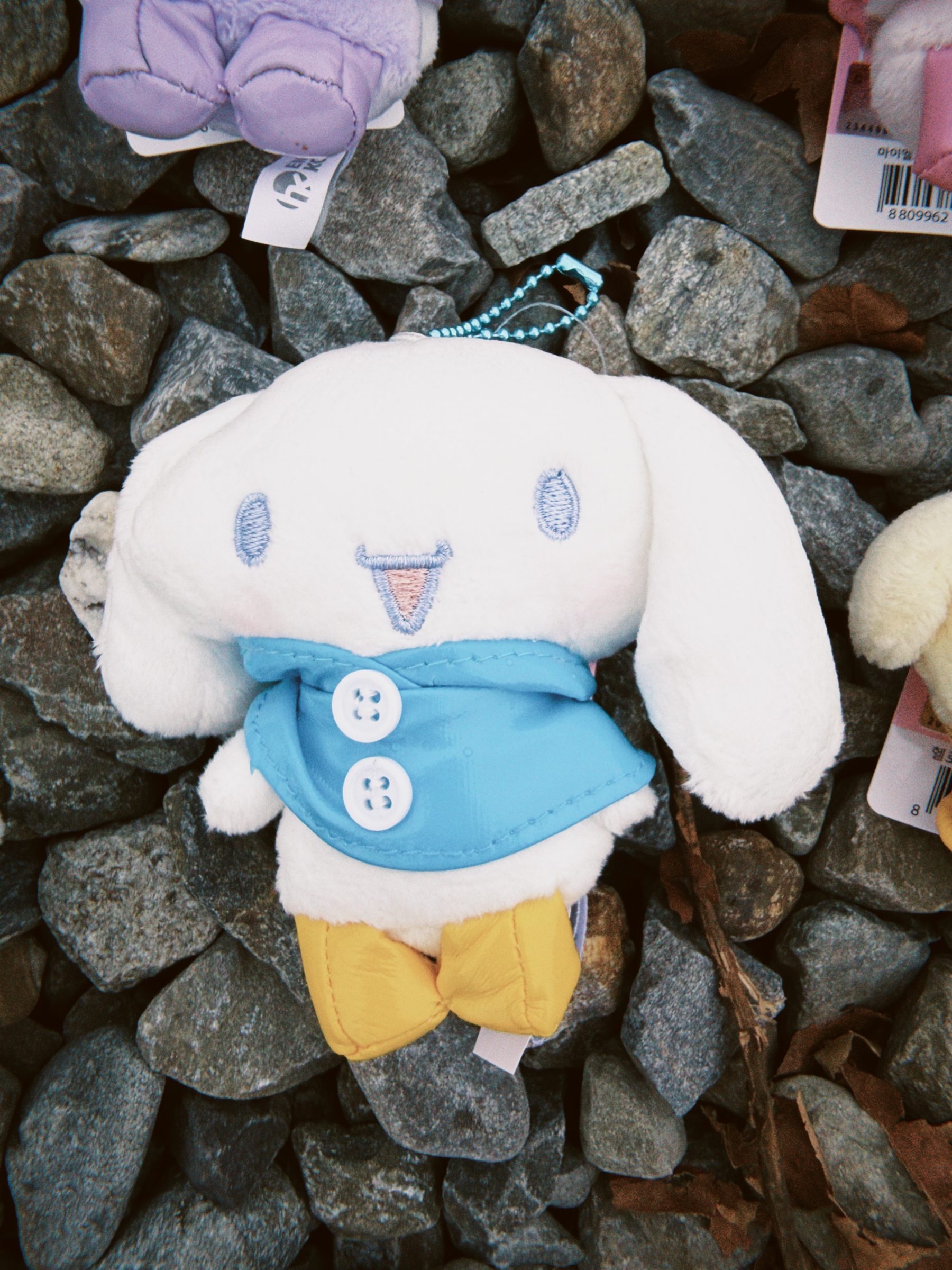 dfuns 2026-03-13 2001135082D6D99CCD