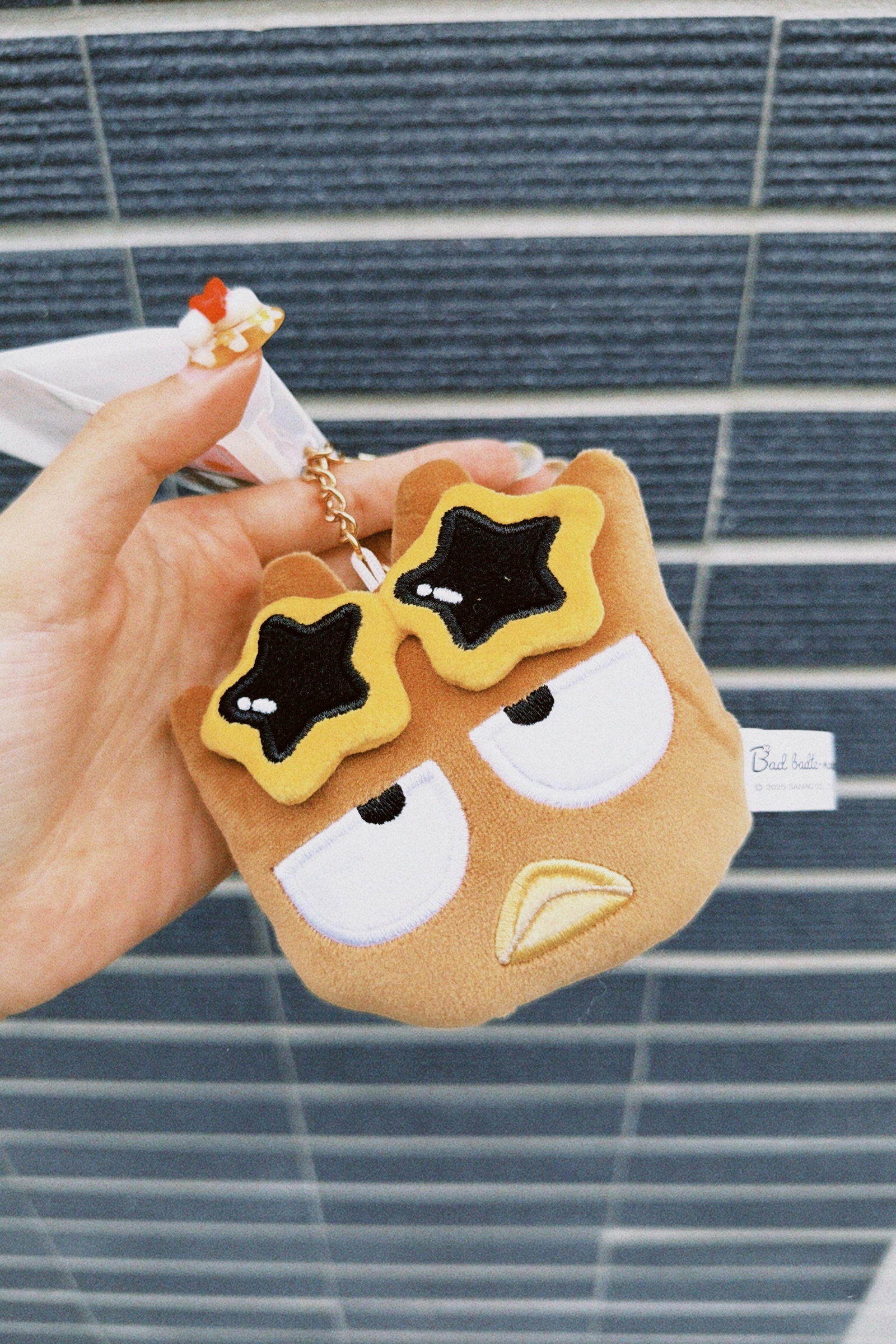 classicu 2026-04-23 16401060C72C248ED6