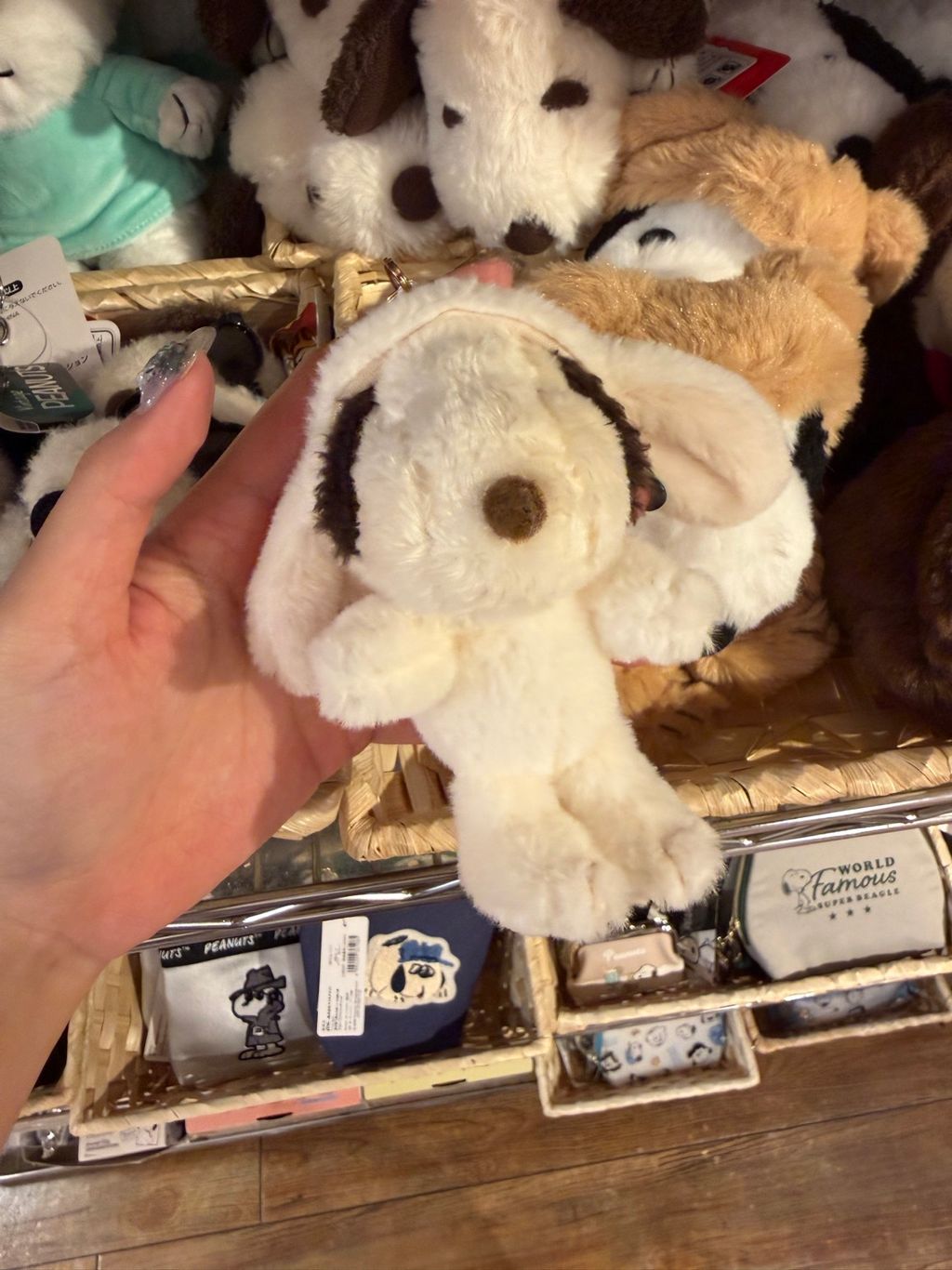 line_oa_chat_260902_224509