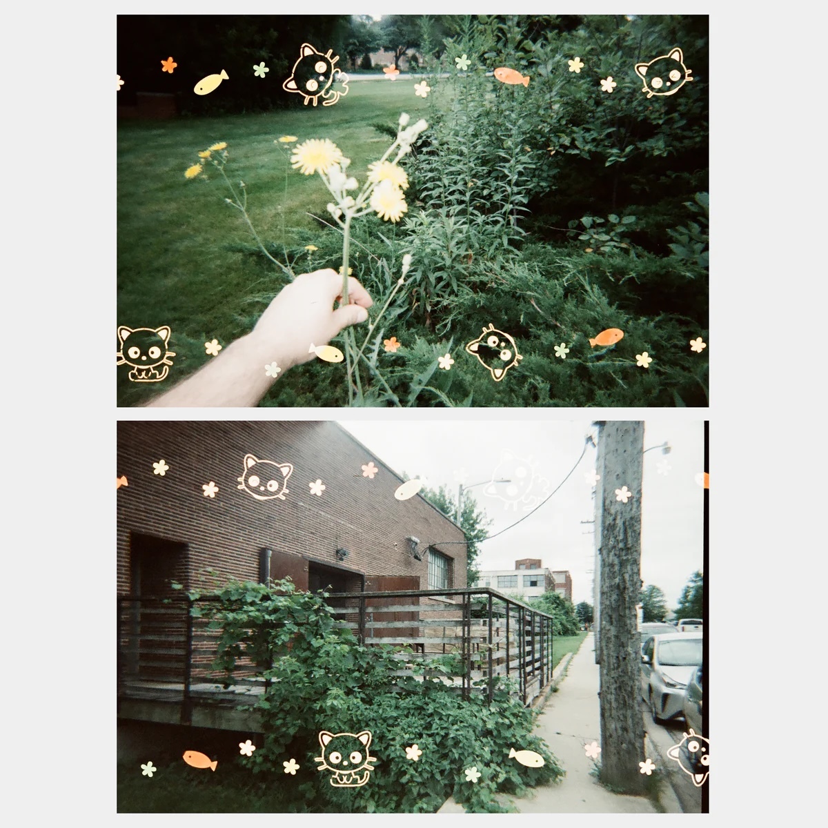S__214540317