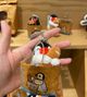 pinga開放紙袋（廠商1月底陸續出貨）