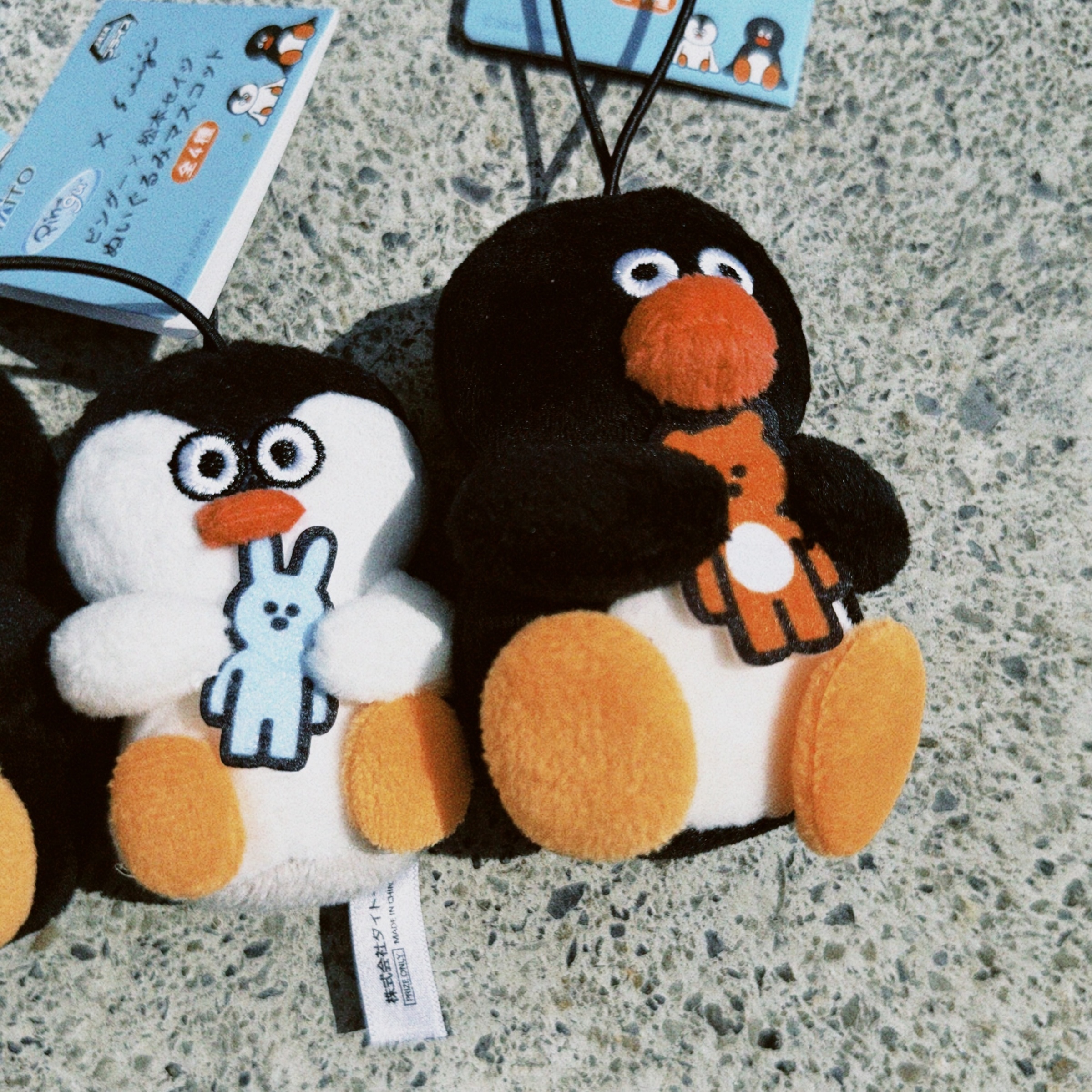 classicu 2025-11-06 113019.224