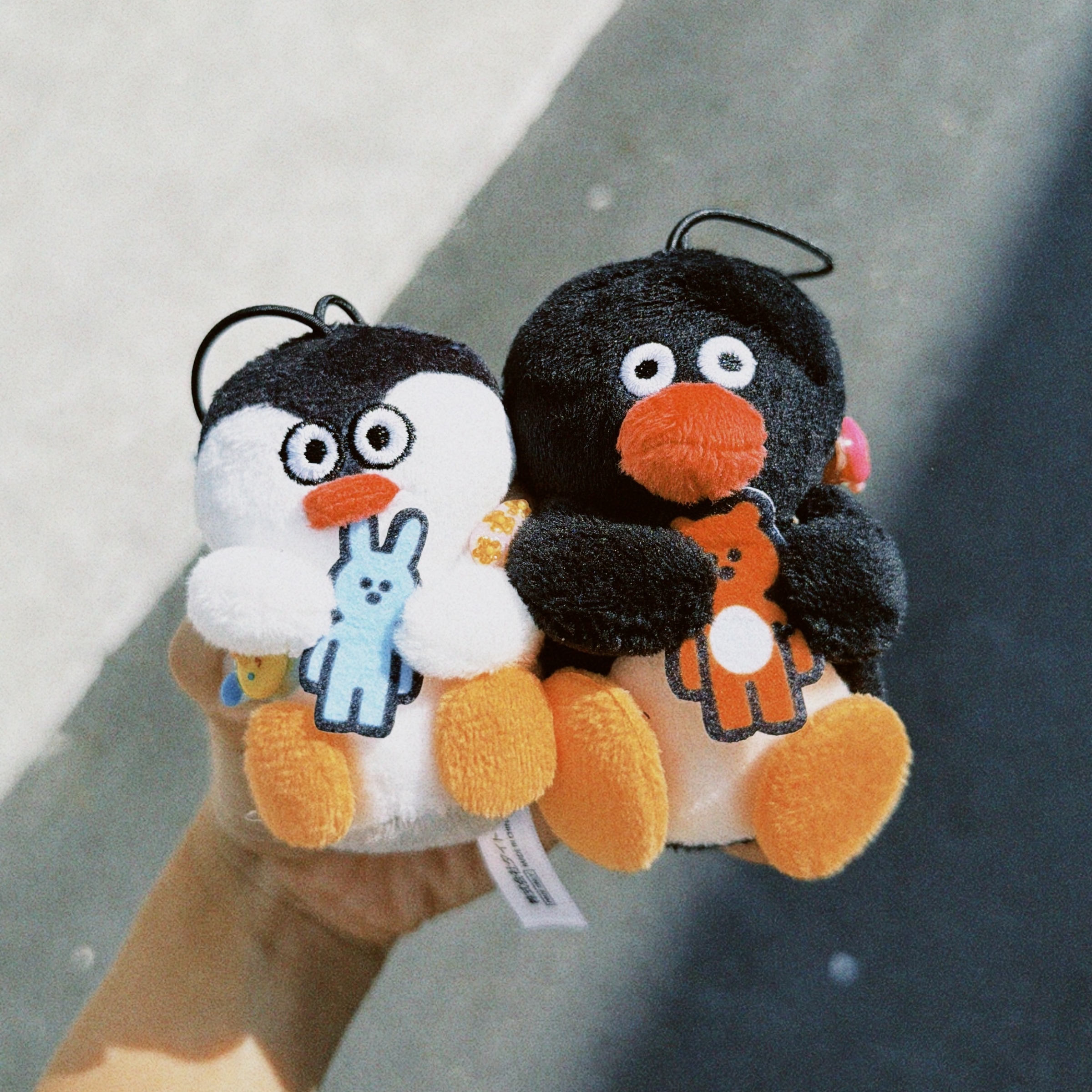 classicu 2025-11-06 112843.845