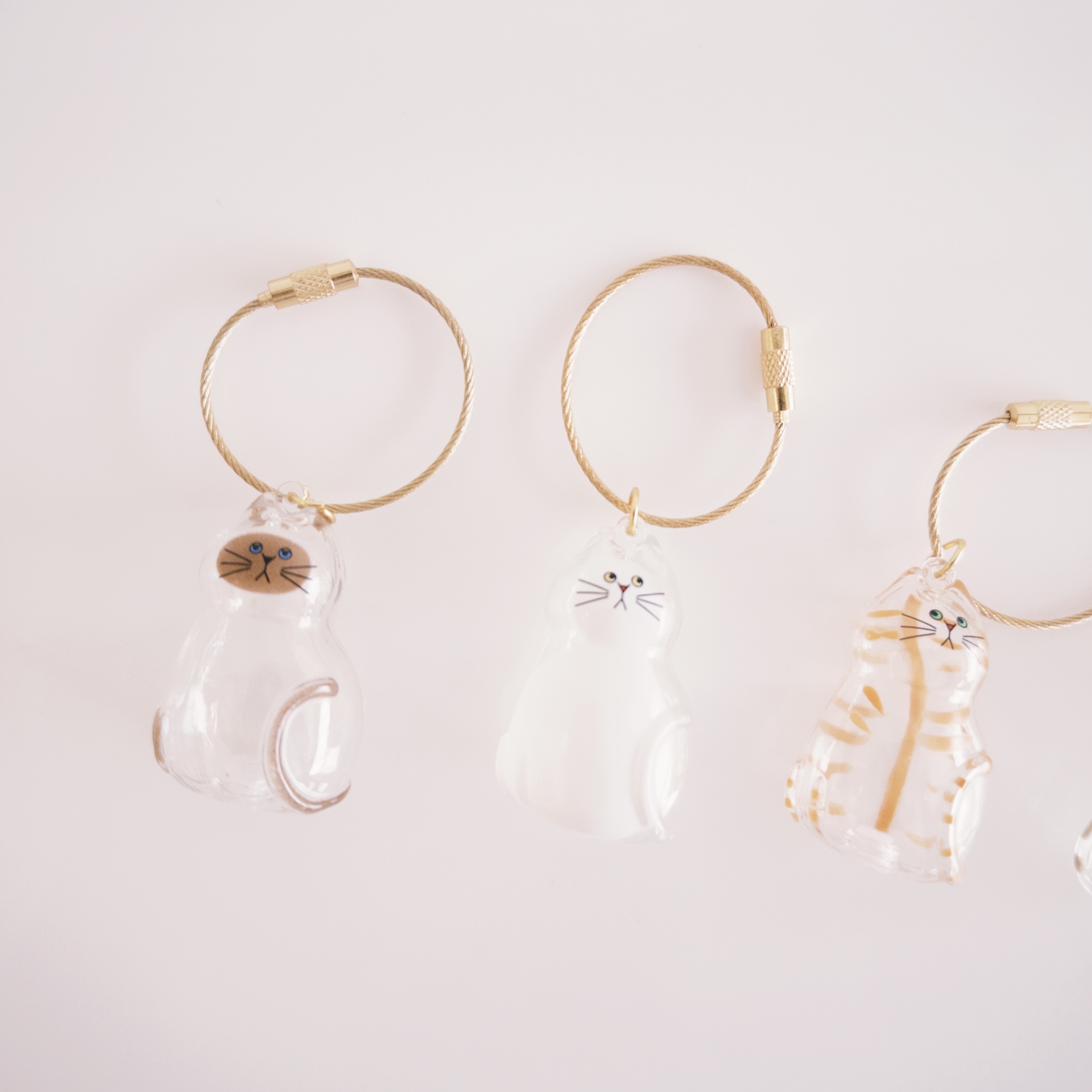 fxn 2025-09-19 123414.143